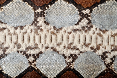 Close up natural python leather の写真素材