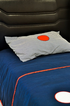 Comfortable and stylish looking for luxury pillows and bedの写真素材