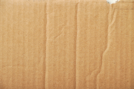 Pieces of torn, very detailedの写真素材