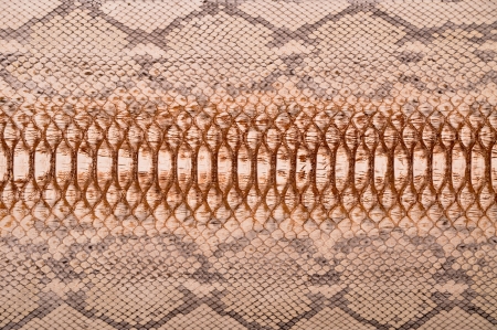 Close up natural python leather
