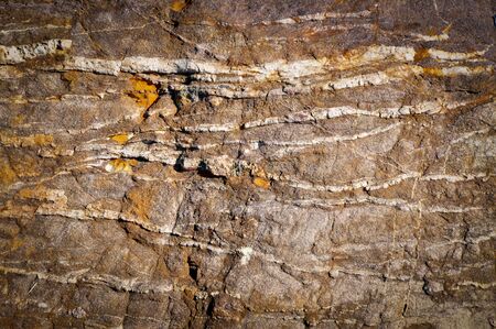 Rock surface. Great for background and texture