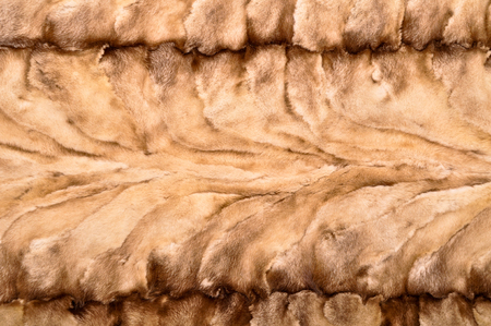 Naturally derived brown and white animal fur