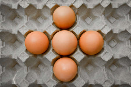 Fresh organic brown eggs in a carton box package, protected paper gray egg box