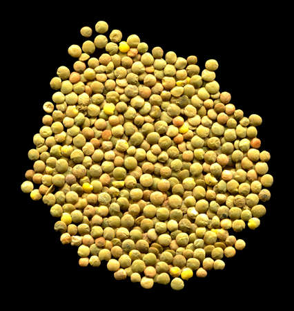 Dry green lentil grains isolated on black backgroundの写真素材