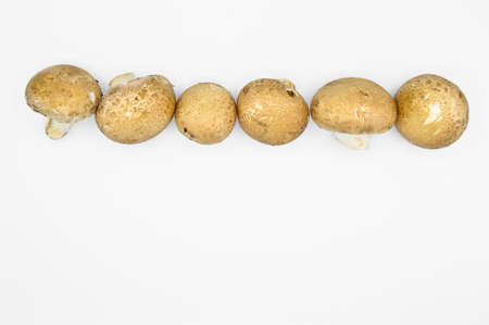 Healthy and fresh brown chestnut mushrooms isolated on white background