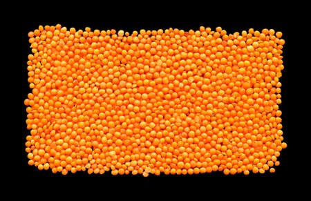 Dry red and orange organic lentil grains raw texture, isolated on black background