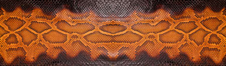 Natural snake skin is used for luxury clothes and accessories, suitable for background