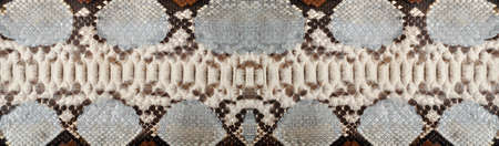 Natural snake skin is used for luxury clothes and accessories, suitable for background
