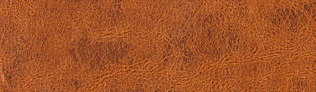 Genuine rectangular cowhide texture close up, useful as background for any design work