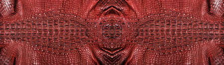Very luxurious crocodile leather texture used in textile industry, original skinの写真素材