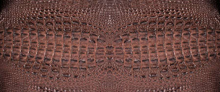 Very luxurious crocodile leather texture used in textile industry, original skin