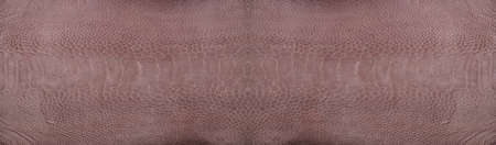 Ostrich leg leather brown texture isolated on a white background