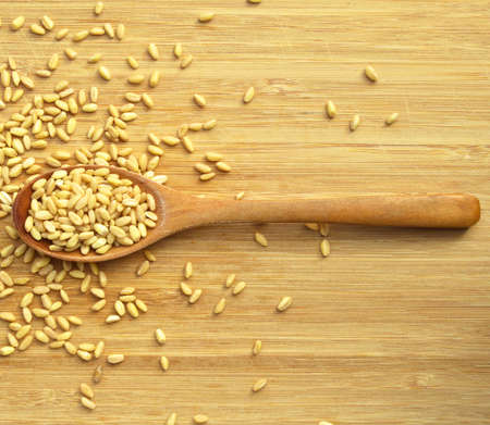 Many dry wheat grain in wooden spoon, on bamboo cutting boardの写真素材