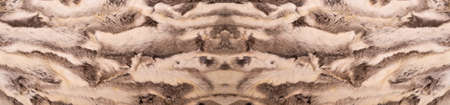 Natural fur texture, luxury outerwear for women fashion, fur coat texture worn by women in winter