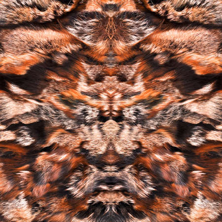 Natural fur texture, luxury outerwear for women fashion, fur coat texture worn by women in winter