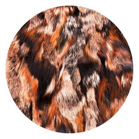 Natural fur texture, luxury outerwear for women fashion, fur coat texture worn by women in winter