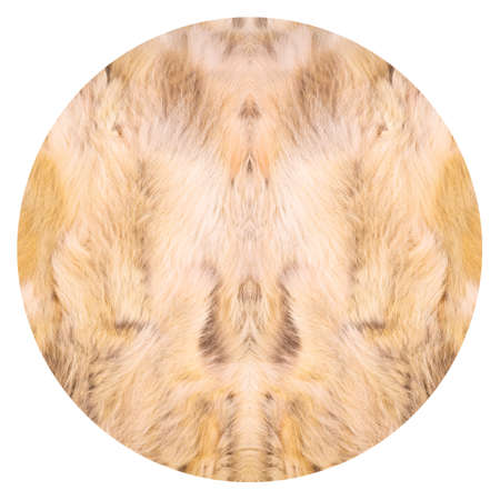 Natural fur texture, luxury outerwear for women fashion, fur coat texture worn by women in winter