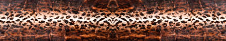 Natural leopard fur texture, luxury outerwear for women fashion, original leopard skin
