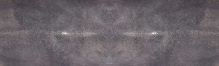 Tanned gray raw exotic stingray skin isolated on white backgroundの写真素材