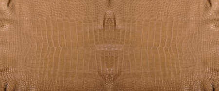 Very luxurious crocodile leather texture used in textile industry, original skin