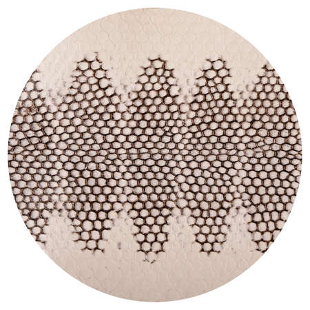 Natural snake skin is used for luxury clothes and accessories, suitable for background