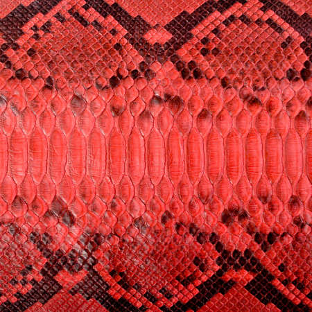 Natural snake skin is used for luxury clothes and accessories, suitable for backgroundの写真素材