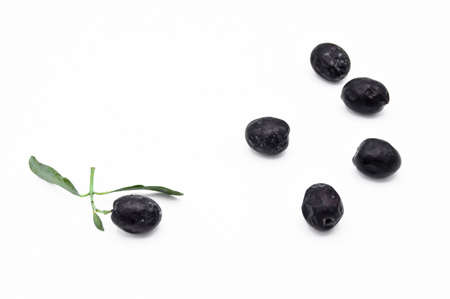 Fresh delicious black color turkish olives isolated on white backgroundの写真素材