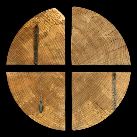 woodgrain texture. Hornbeam round wood, can be used as background, pattern backgroundの写真素材