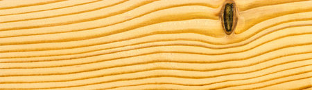 Woodgrain texture. Pine wood, can be used as background, pattern background