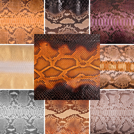 Natural snake skin in various colors, luxury clothing and accessories suitable for photo collage,...