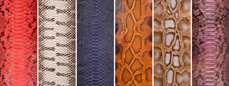 Natural snake skin in various colors, luxury clothing and accessories suitable for photo collage,...