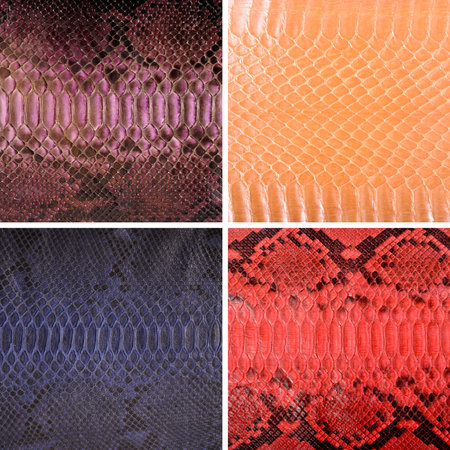 Natural snake skin in various colors, luxury clothing and accessories suitable for photo collage,...