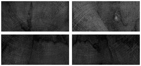 woodgrain texture. Hornbeam black wood, can be used as background, pattern backgroundの写真素材