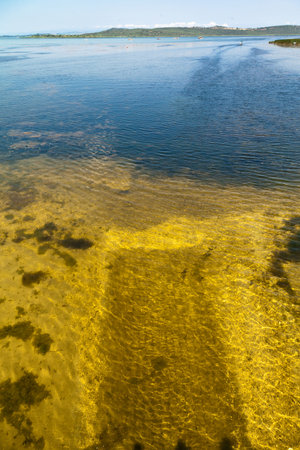 Ulubat or Uluabat Lake Golyazi surroundings in Bursa, Turkey, wonderful natural lake views, June 25 2023の写真素材