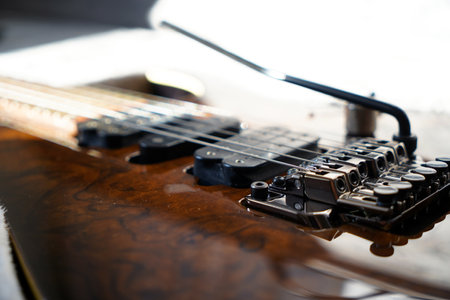Electric guitar bridge, strings and pickup, detail close-up view of guitar pickup in wood walnut,...