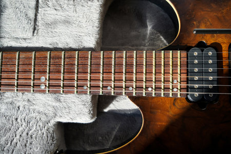 Electric guitar bridge, strings and pickup, detail close-up view of guitar pickup in wood walnut,...
