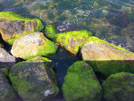coast rock sea gravel cloud photo image background