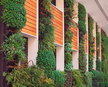 Green building with plants on the walls