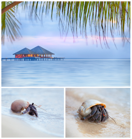 Seascape collage. 3 high resolution images of the beachの写真素材