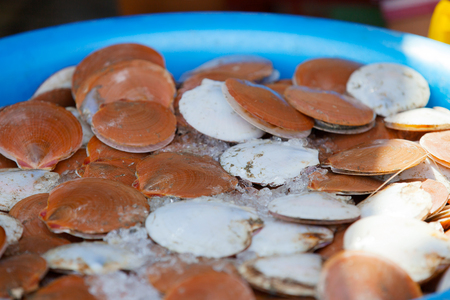 Traditional asian fish market stall full of fresh shell clam seafood