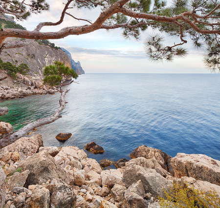 Rocky beach of Crimea with pinetrees over the seaの写真素材