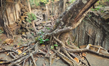 Beng Mealea Temple ruines in the middle of jungle forest