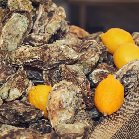 Traditional  fish market stall full of fresh shell oystersの写真素材