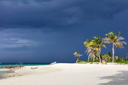 paradise beach in Thailand during storm with tall palms