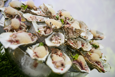 Opened fresh Oysters on metal plate in dinnerの写真素材