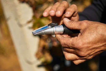 A man's hands squeezes grapes into a refractometer for measurementの写真素材