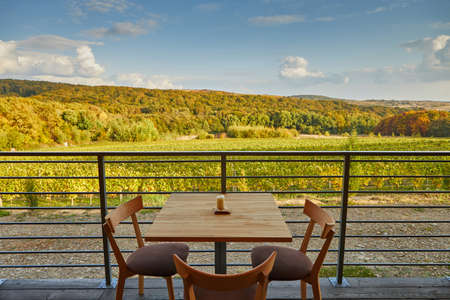 magnificent view from the terrace to the vineyard and mountainsの写真素材