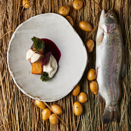Fresh raw salmon and a plated dish with sauce and garnish on straw mat with potatoesの写真素材