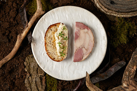 Sandwich with ham and sauce on the plate. Top View.