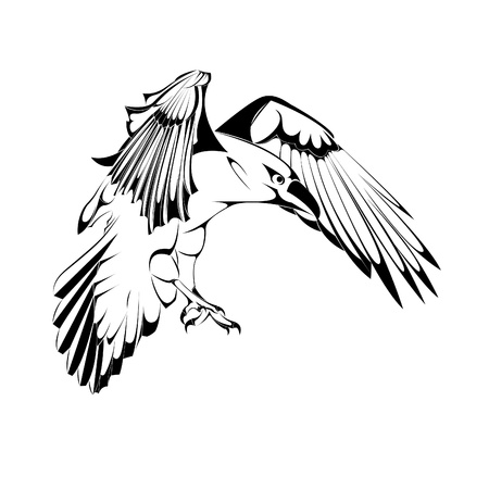 Crow Silhouette のイラスト素材